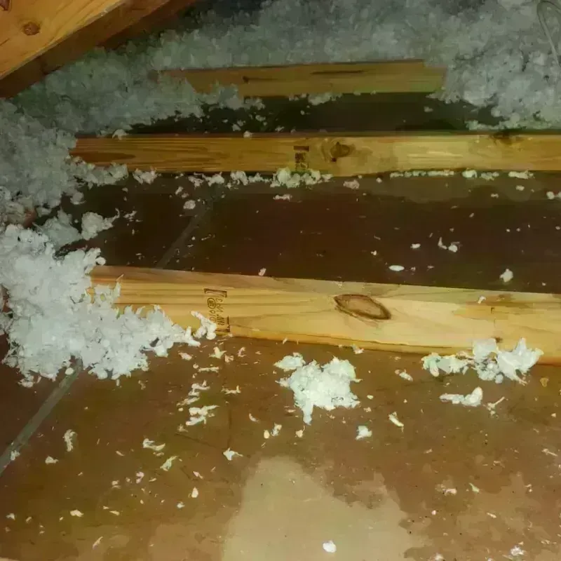 Attic Water Damage in Danville, AL