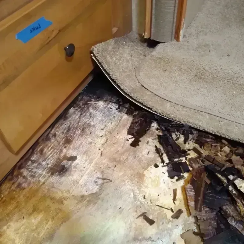 Best Wood Floor Water Damage Service in Danville, AL